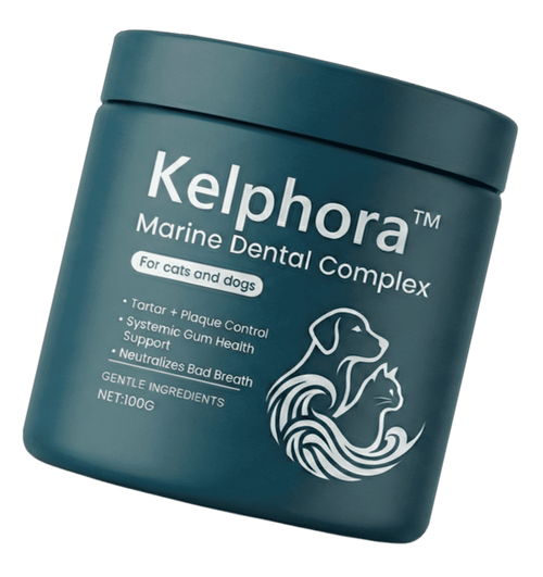 Kelphora Marine Dental Complex